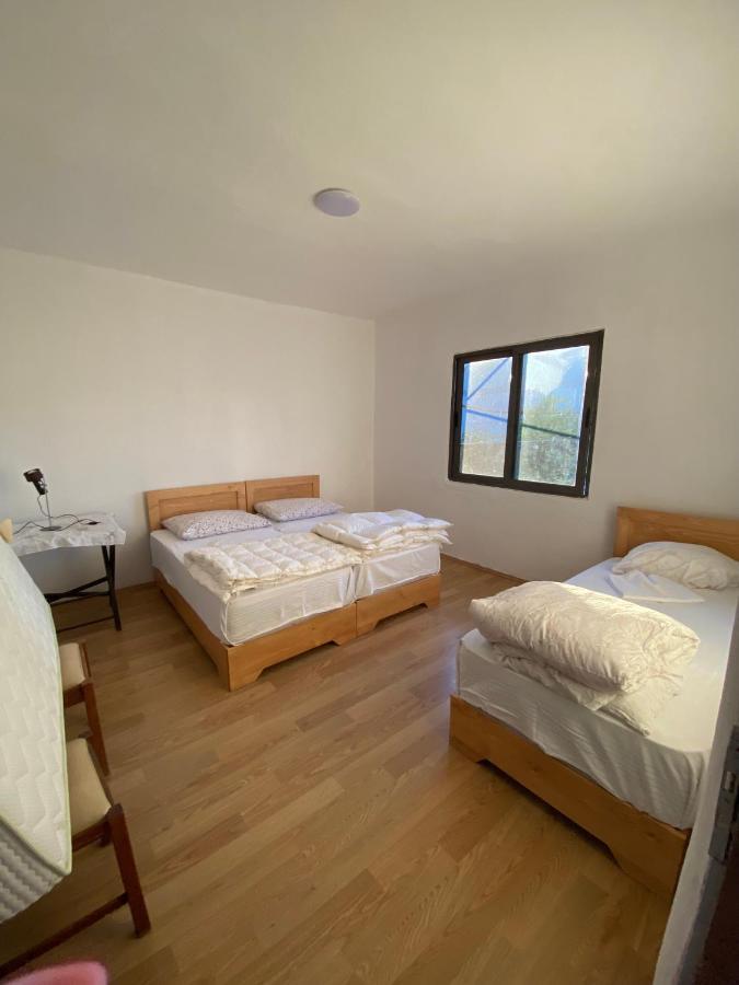 Rupa Guest House Camping Shkodër 외부 사진